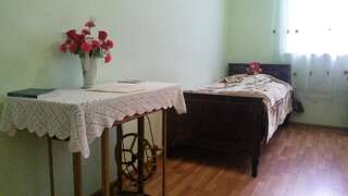 Отели типа «постель и завтрак» Lusya B&B Ехегнадзор Двухместный номер Делюкс с 2 отдельными кроватями-5